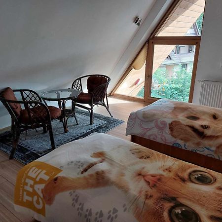 Apartamenty Cede 扎科帕内 外观 照片