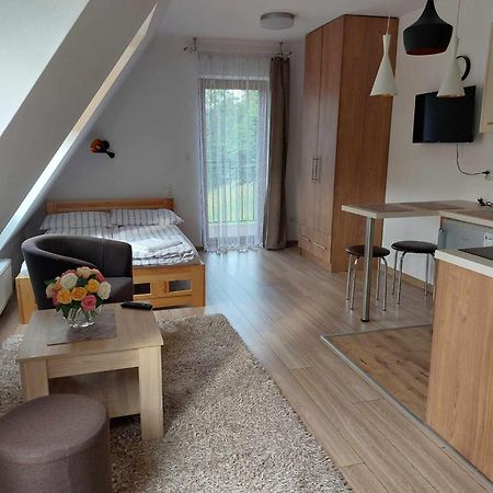 Apartamenty Cede 扎科帕内 外观 照片