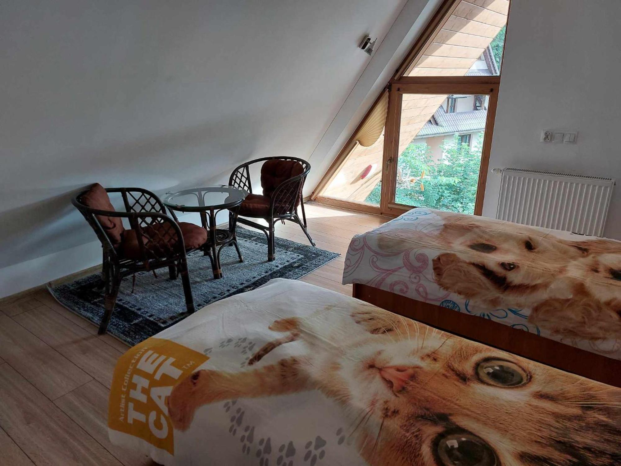 Apartamenty Cede 扎科帕内 外观 照片