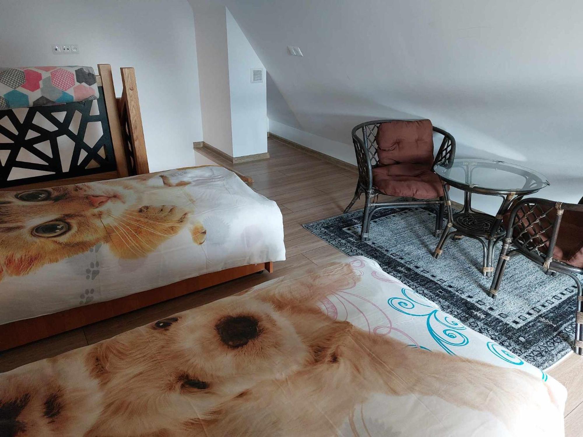 Apartamenty Cede 扎科帕内 外观 照片